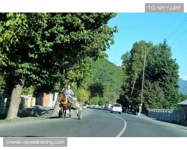 巴库大满贯落幕：日本队登顶奖牌榜，荷兰、格鲁吉亚分列二三位